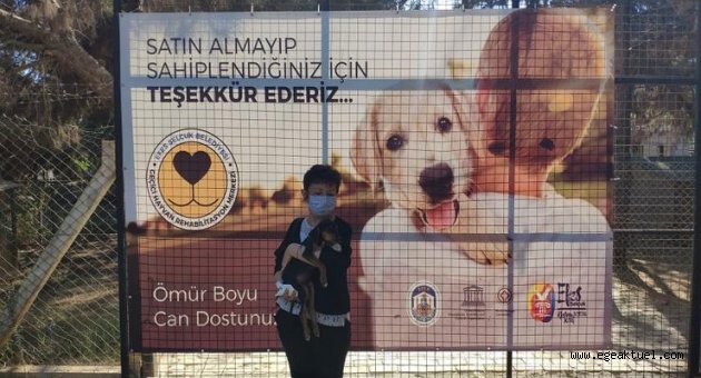 Can dostlarını sahiplenenler çoğalıyor