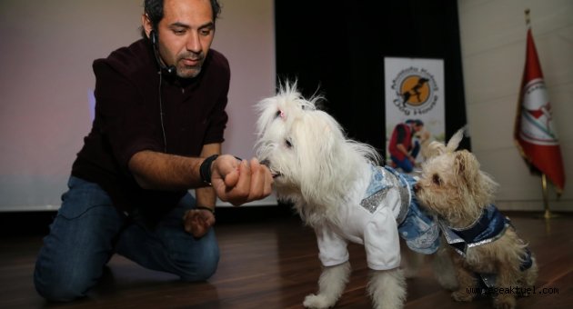 Can dostlarla yaşamın altın kuralları