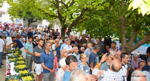                                              Çapak’ta incir tadında festival