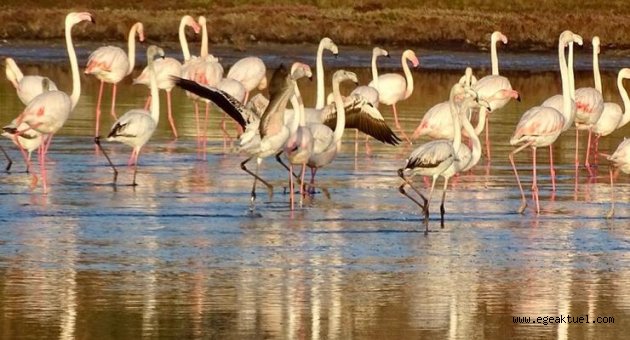 Çeşme Belediyesi’nden fotoğraf yarışması