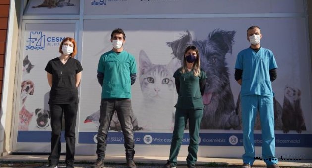 Çeşme Belediyesi sokak hayvanlarını koruyor ve tedavi ediyor
