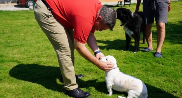 Çeşme’de köpeklere özel ‘Pati Park’