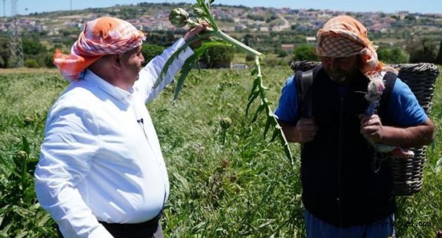 “Çeşme’de sakız enginarı tarlada kalmayacak!”