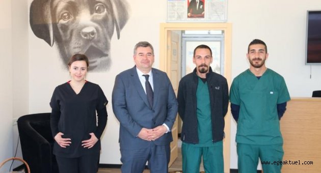 Çeşme’de sokak hayvanları için veteriner kliniği açılıyor!