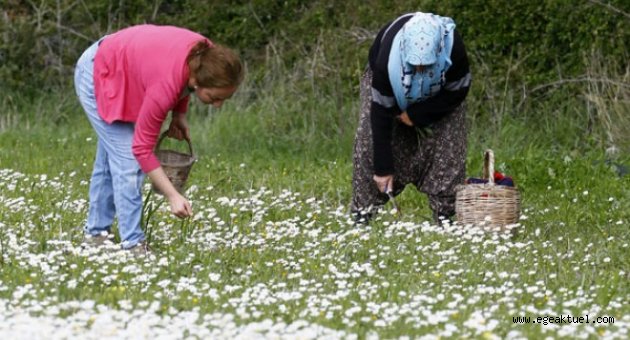 Çeşme Festival için gün sayıyor