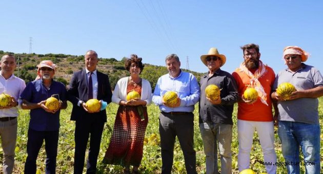 Çeşme kavunu tescillendi