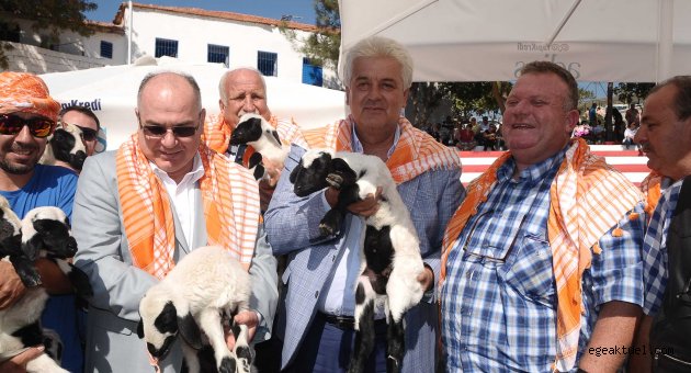 Çeşme'nin 'sakız güzelleri' yarıştı