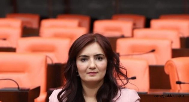 CHP’li Kılıç, “dekanı hukukçu olmayan hukuk fakültelerini” Meclis gündemine taşıdı
