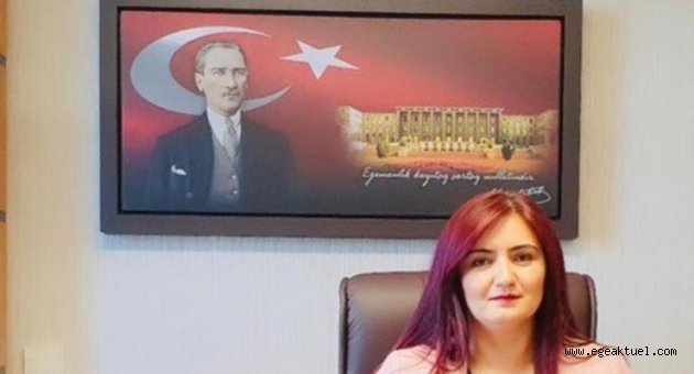 CHP’li Kılıç: Tarım arazilerimizi jeotermale kurban etmeyin