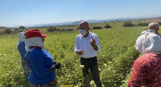 CHP’li Polat: Köylülerimiz emeklerinin, alın terinin karşılığını alamıyor!