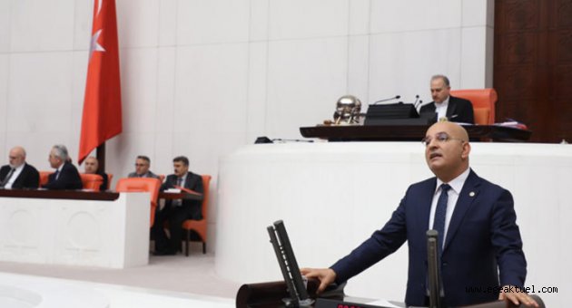 CHP’li Polat, orman yangınlarını TBMM gündemine taşıdı