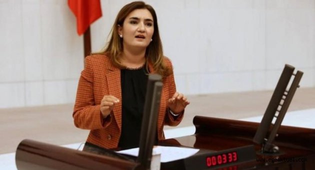 CHP'li Kılıç: İzmir’in ciğerleri yanınca değil, yanmadan önce önlem alınsın