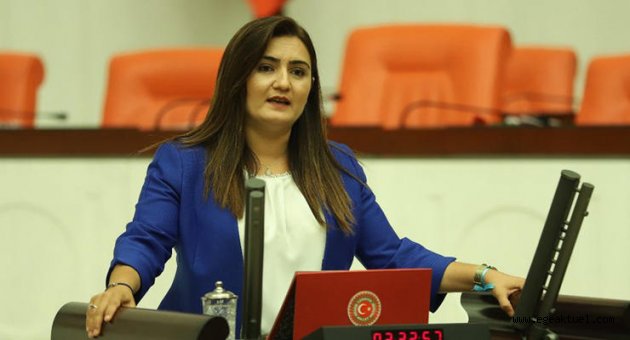 CHP'li Kılıç o projeleri sordu