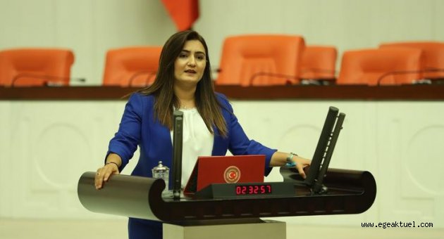CHP'li Kılıç: THK neden devre dışı bırakıldı
