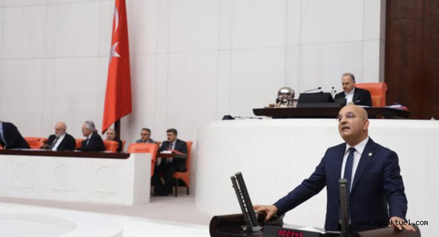 CHP'li Mahir Polat “Maalesef AKP ağacın, doğanın değil, doların yeşilini seviyor” 