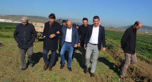 CHP'li Polat Foça'da üreticiyi ziyaret etti