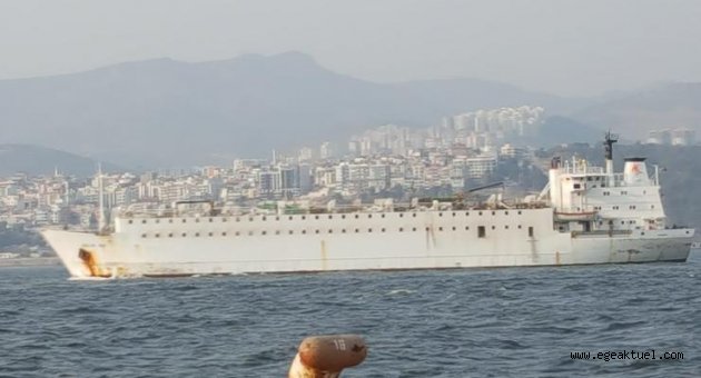 CHP'li Polat: "Gemi ve içindeki hayvanlarla ilgili açıklama bekliyoruz"