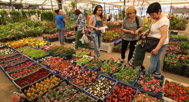 Çiçek üreticisinin yüzü güldü