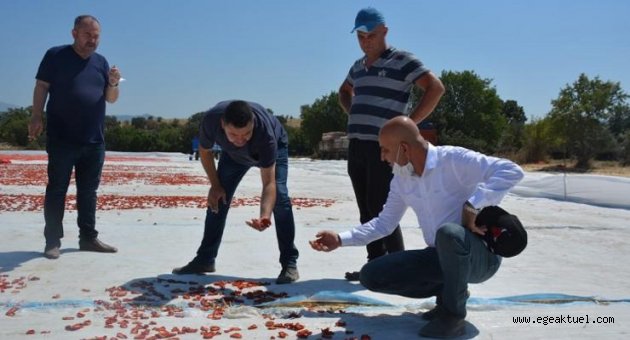 Çiftçi ne kadar zarar edeceğini hesaplıyor!