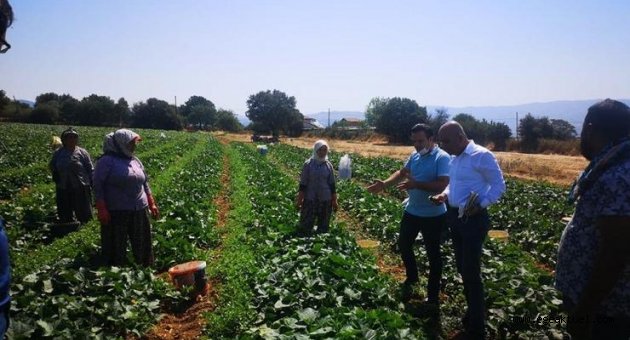 Çiftçiler krediye mahkum bırakılıyor!