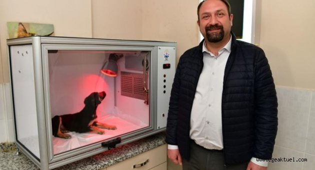 Çiğli Belediyesi’nden Hayvan Dostu Proje: Yoğun Bakım Ünitesi