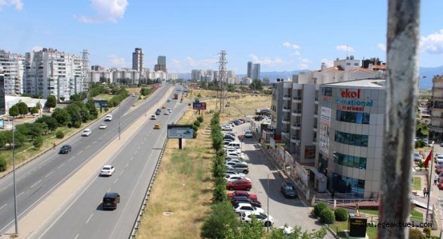 Çiğli’de sökülecek ağaçlar tramvay gelince dikilecek