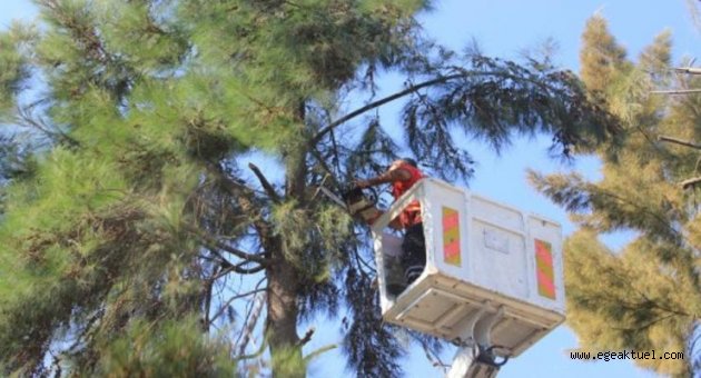 Çiğli'de kış hazırlıkları