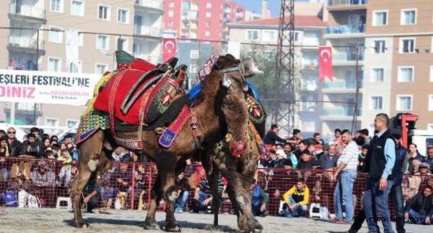 Çiğli'deki o festivalin iptali istendi