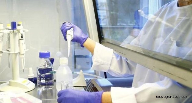 Corona virüsü aşısında flaş gelişme