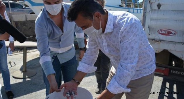 Dikili’de yavru balıklar denizle buluştu