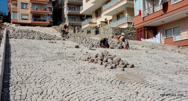 Dikili ilçesi bir dertten daha kurtuldu 