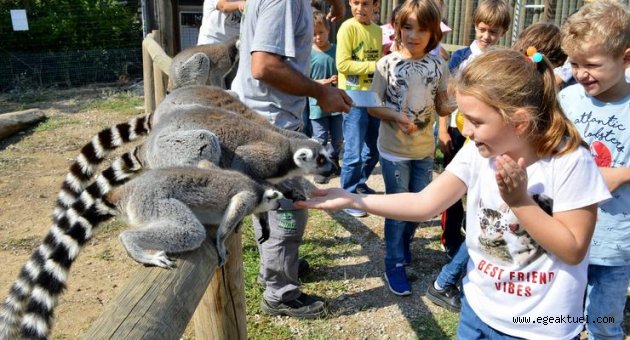 Doğal Yaşam Parkı minikleri ağırladı
