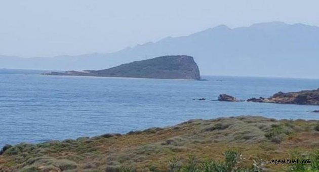   Doğanbey Adası'na ÇED izni verilen projeye başkandan tepki