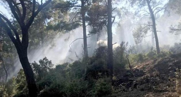 Edremit'ten iyi haber geldi! Marmaris'te yangın başladı...