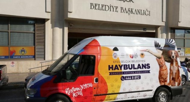 Efes Selçuk’ta can dostlarının haybulansı hazır