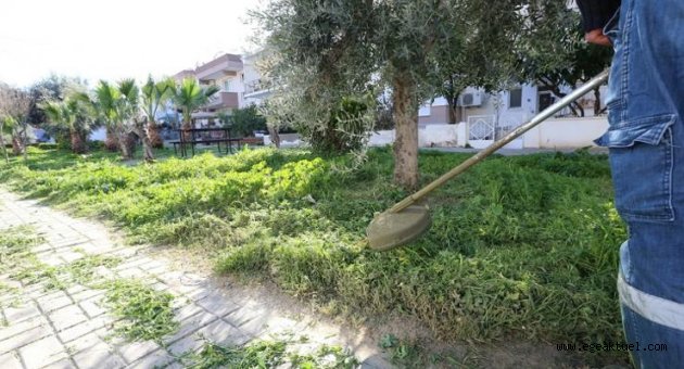 Efes Selçuk’ta yeşil atıklar doğal gübreye dönüşüyor