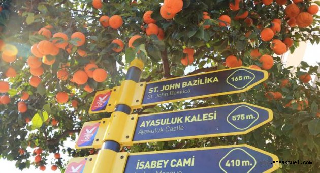 Efes Selçuk'ta tabela devrimi