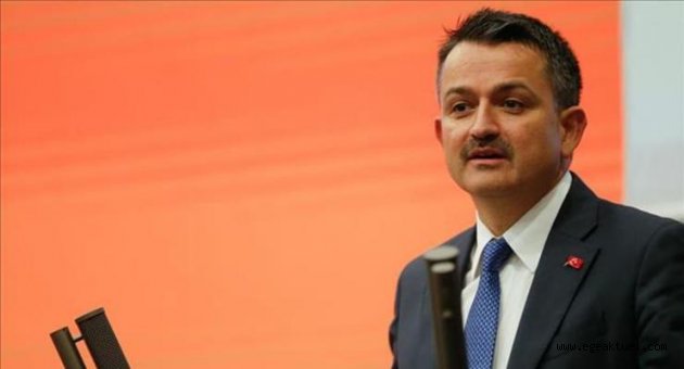 Ege’de Tarım Bayramı Bakan Pakdemirli’nin katılımıyla kutlanacak