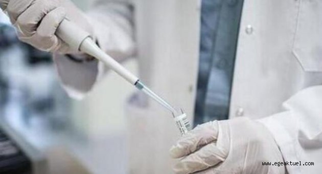 Ege Üniversitesi Hastanesi'nde koronavirüse karşı DNA aşısı