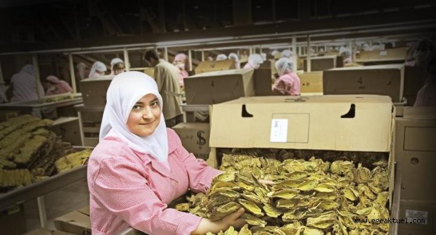 EİB ihracatında Cumhuriyet rekoru
