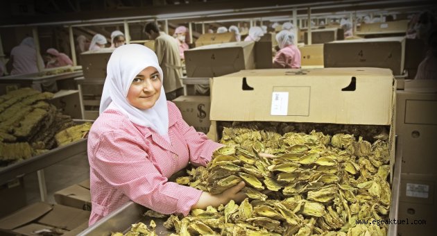 EİB ihracatını Tarım ürünleri aşağı çekti