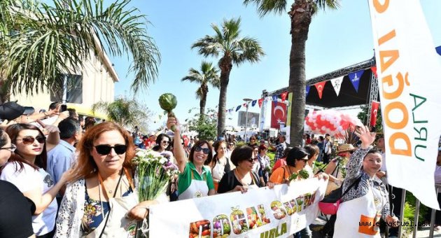 Enginar şöleni başladı