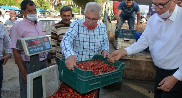 Erik-kiraz sezonu açıldı