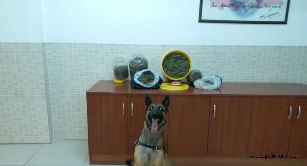 Evinde 50 bin liralık uyuşturucu ile yakalanan zanlı gözaltına alındı 