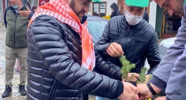 Fidanları AK Parti’li Başkan dağıttı