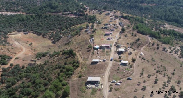 Fırsatçılar 40 dönümü yok etti