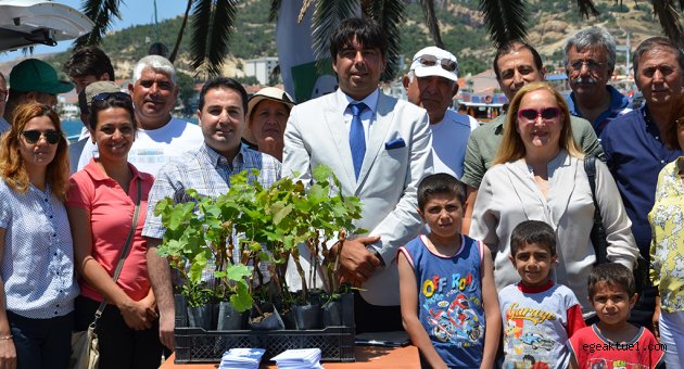 “Foça karası” küllerinden doğacak