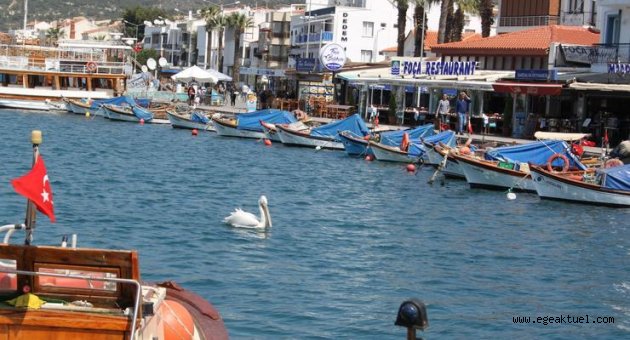 Foça'da sahiller hafta içinde de yasaklandı