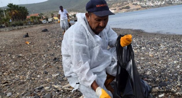 Foça'daki denizin temizlik çalışmalarında sona yaklaşılıyor