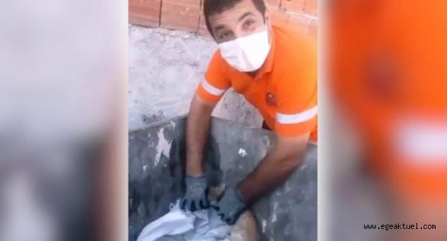 Gaziemir Belediyesi çalışanları yavru kedinin hayatını kurtardı